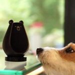 bearbot-ours-connecte-indiegogo-01-1024×581-570×300